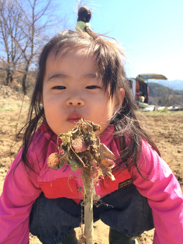 子どもたちの暮らし