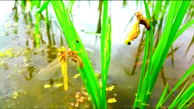 自然の中での活動